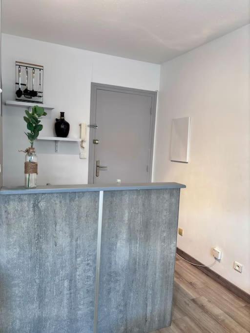 Appartement Le Petit Citadin